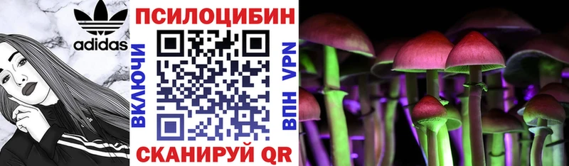 Псилоцибиновые грибы MAGIC MUSHROOMS  где купить   Щёкино 